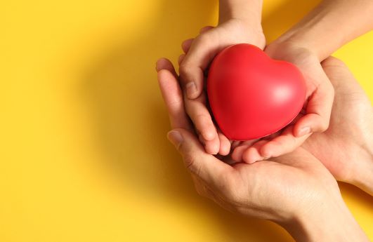 A child holds a toy heart while resting her hands in an adult's cupped hands.