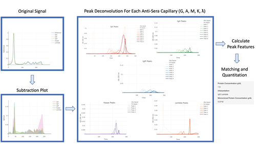 Figure 1. Peak Deconvolution For Each Anti-Sera Capillary