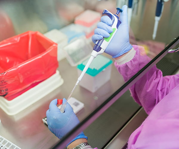 Close up of a lab professional's gloved hands as they pipet a sample in a hood.