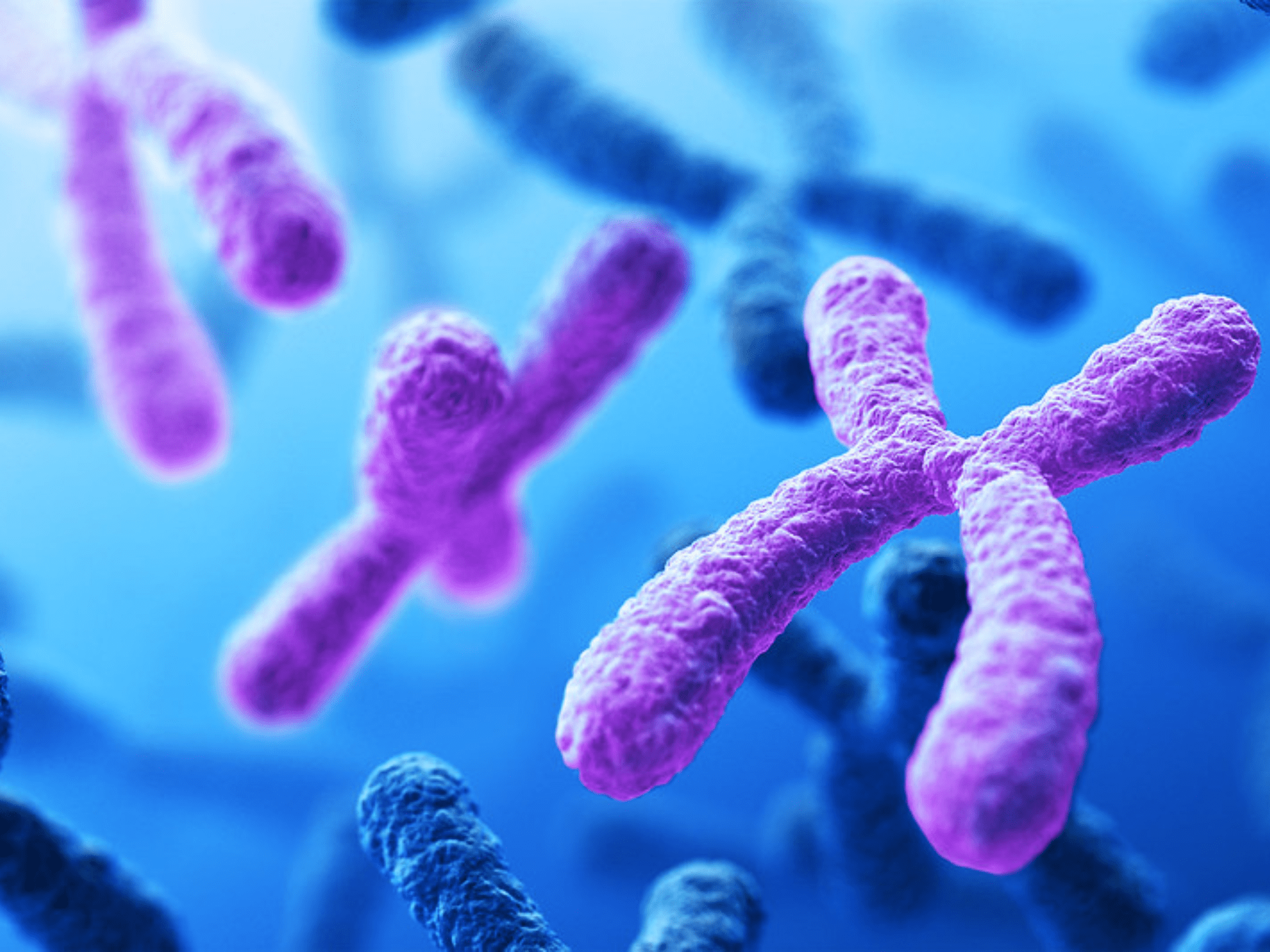 Cell exhibiting trisomy