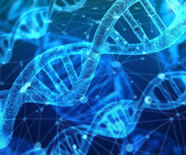 A close-up of DNA strands for research analysis.