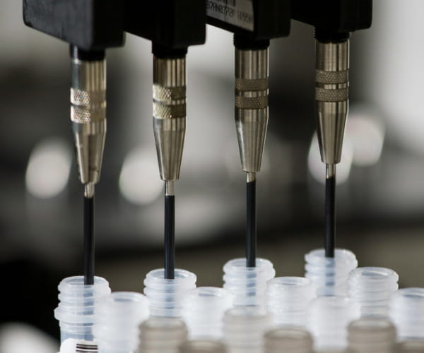 An image of four tubes lined up for DNA genotyping and sequencing.
