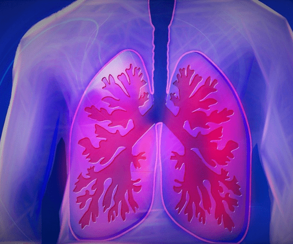 illustration of lungs within a torso