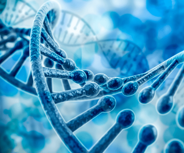 illustration representing DNA and chromosomes in a blue double helix shape