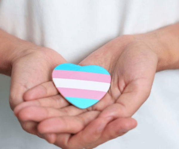 hands holding a heart-shaped object with the transgender flag colors