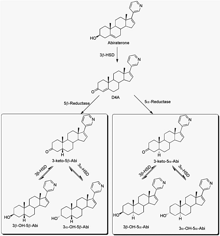 aacc scientific short image