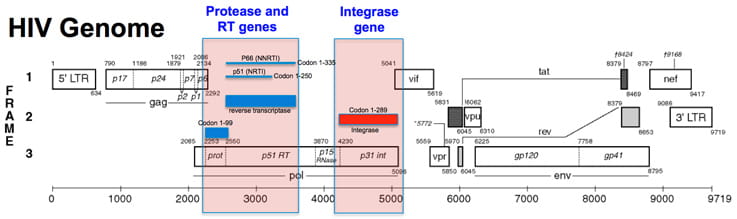 aacc scientific short image