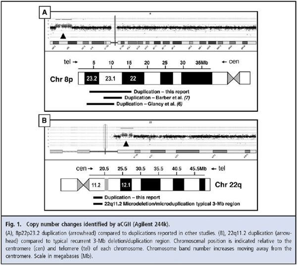 Fig. 1 Copy number changes identified by aCGH