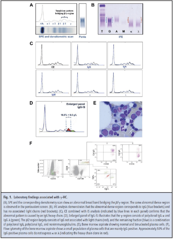 Figure 1. Laboratory findings associated with gamma-HC