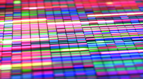 Precision Medicine