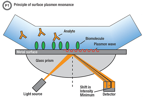 Principle of surface plasmon resonance