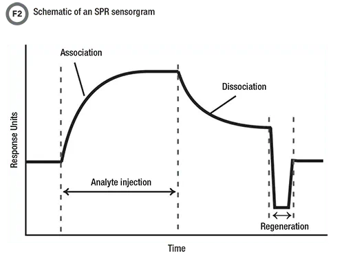 SPR sensogram