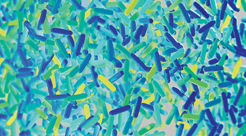 teal, green, blue, and yellow microbes