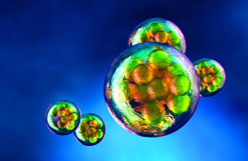 Cell floating around a blue background