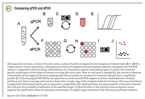 Comparing qPCR and dPCR