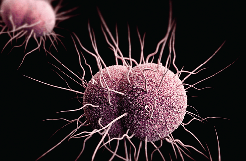A drug resistant microbe depicted in purple floating ominously against a black background