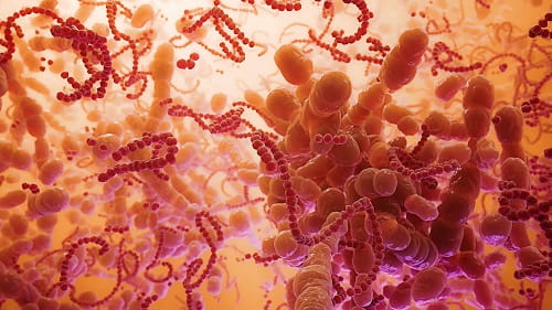 Illustration of vaginal microbiome