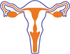 illustration of a vagina
