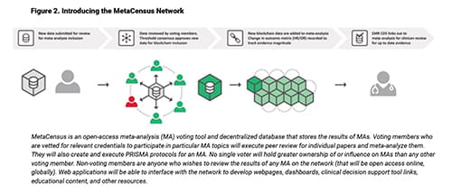 Introducing the MetaCensus Network