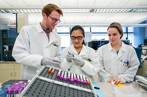 A male and 2 women laboratorians labeling blood samples in a lab.