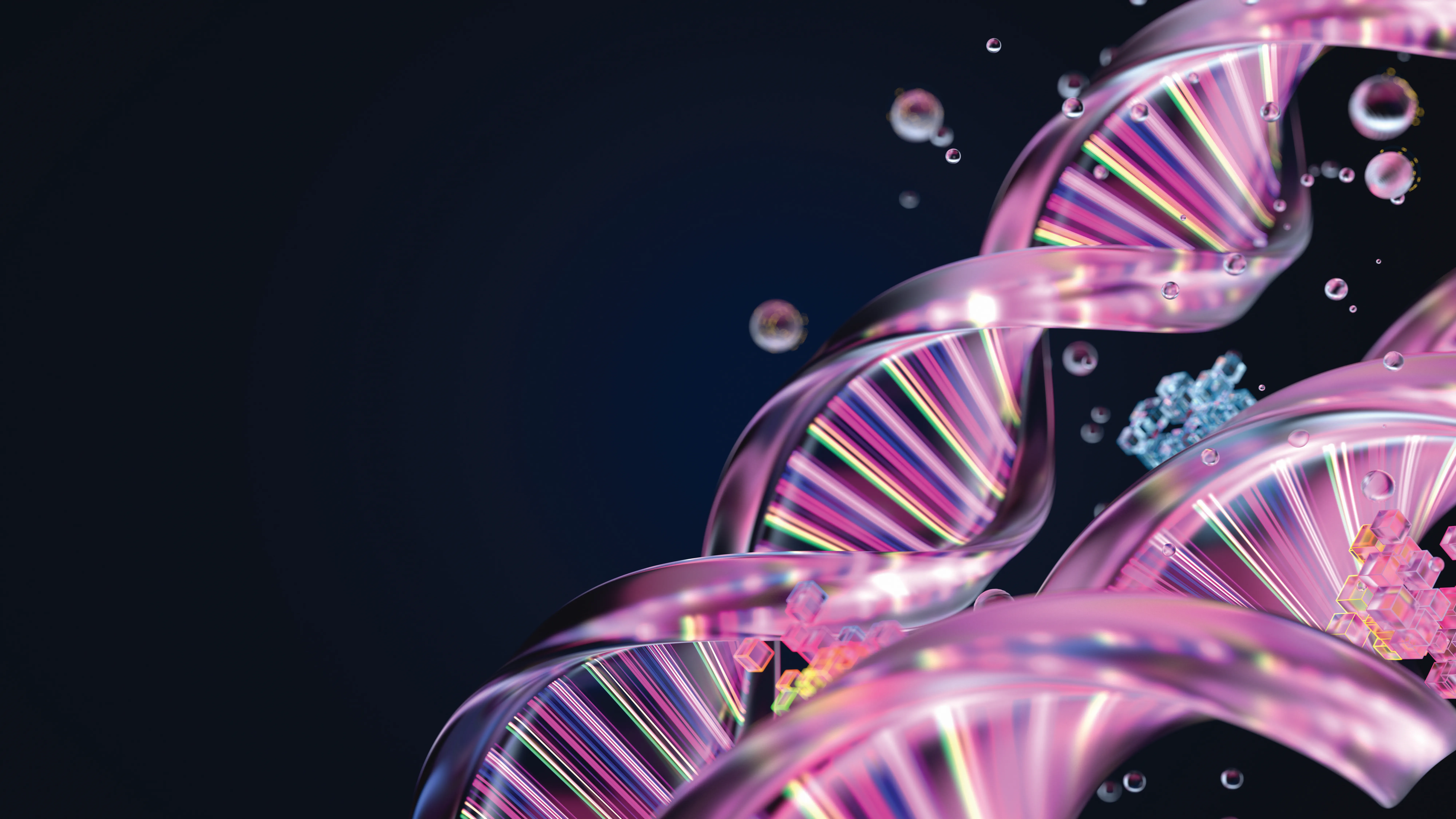 double-helixed strand of DNA
