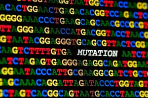 DNA sequencing