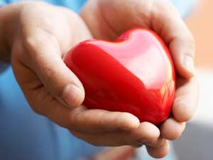 Hands holding a plastic heart