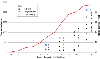 Estradiol and Follicular Diameter in IVF by Day of  Stimulation