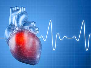 Heart and monitor