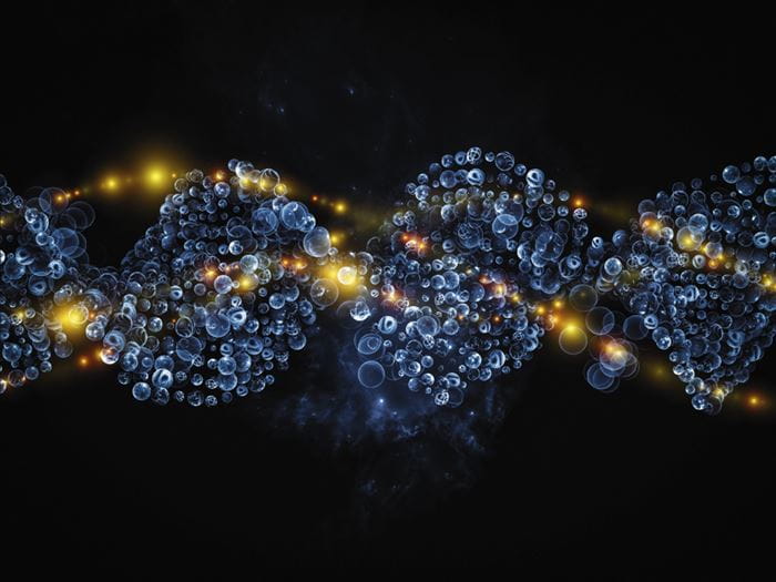 Human proteome