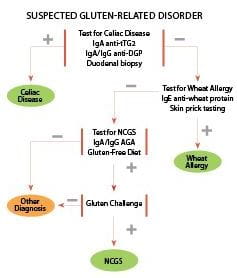 Suspected wheat-related disorders