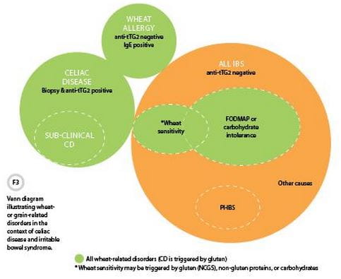 Wheat-related Disorders
