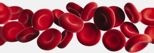 Red blood cells