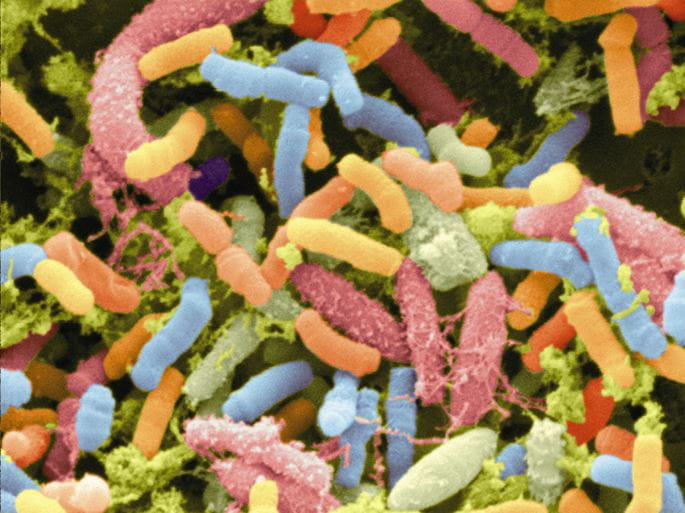 Celiac image