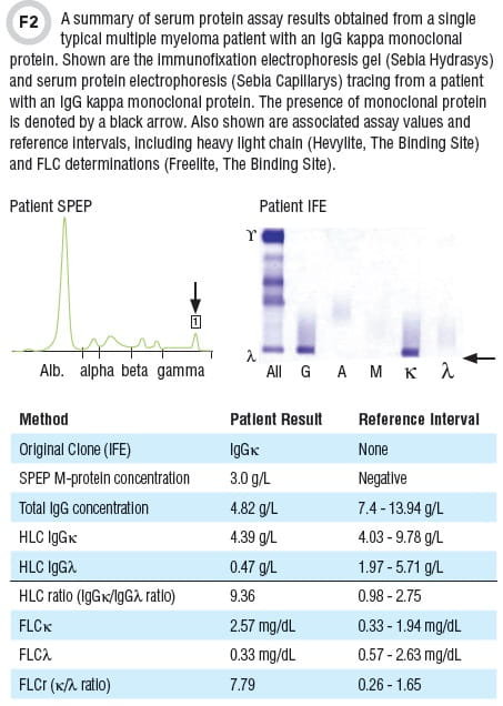 immunofixation electrophoresis