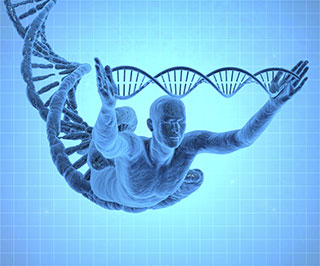 Nucleus