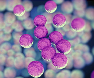 antibiotic
