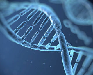 DNA graphic