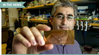 Microchip