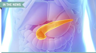 Pancreas graphic