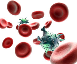 Red blood cells