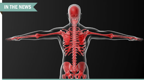 skeleton