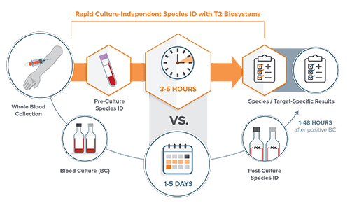 Rapid Culture-Independent Species ID with T2 Biosystems