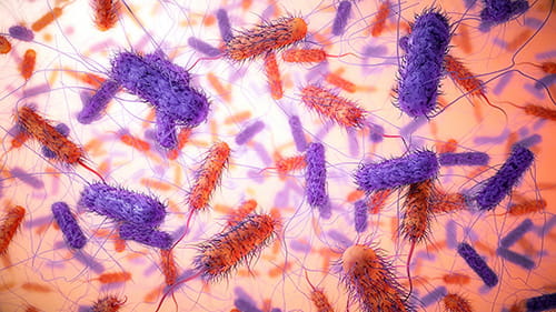 Gastrointestinal infection