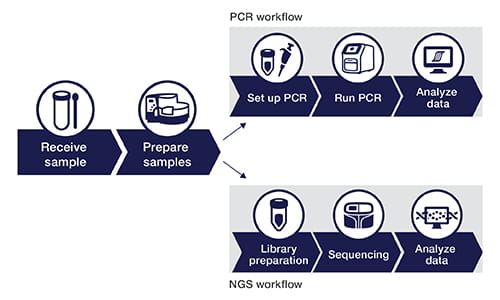 Schematic workflow of qPCR and NGS testing