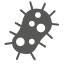 bacteria